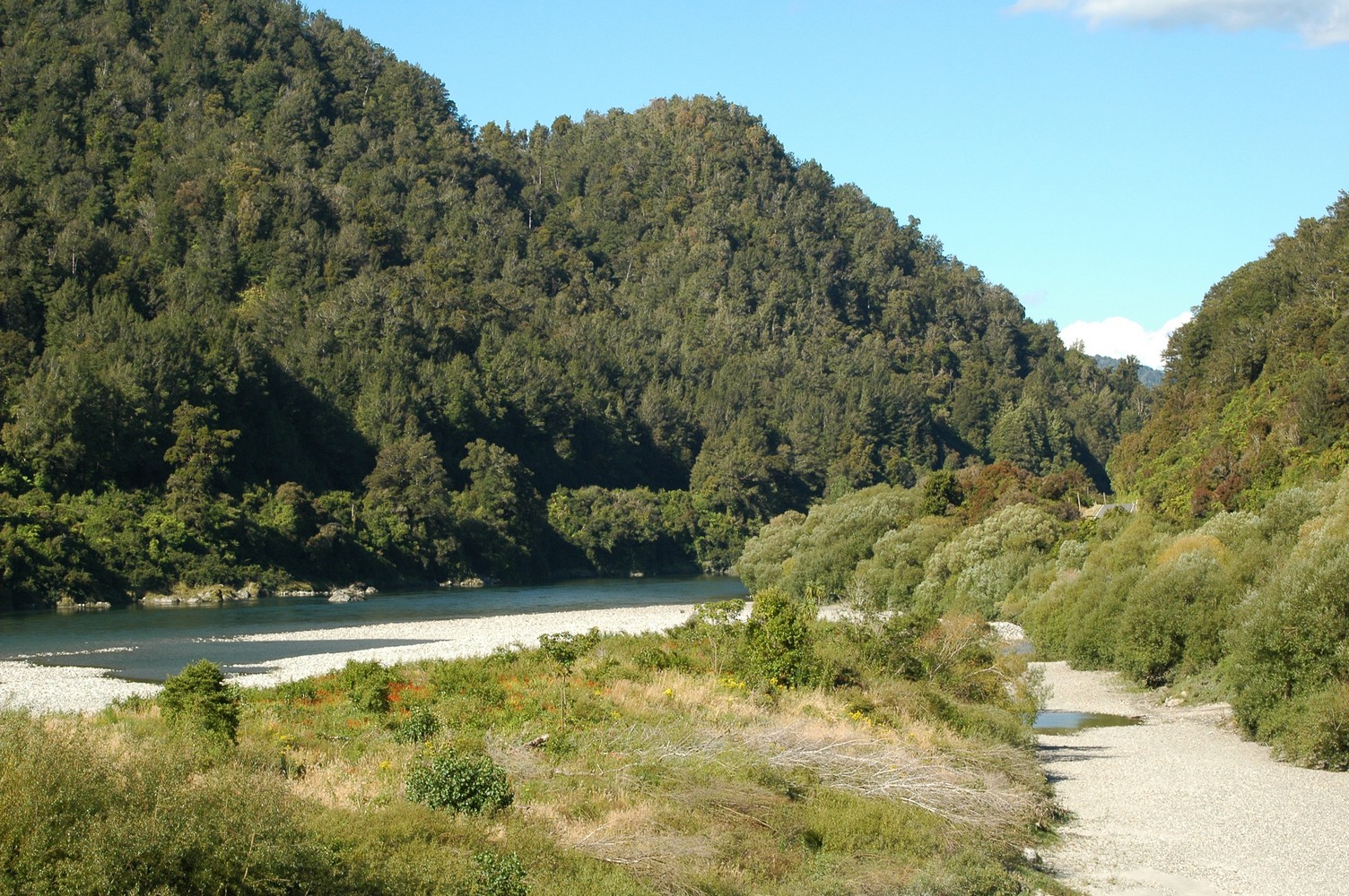 038   23 01   Nelson   Greymouth